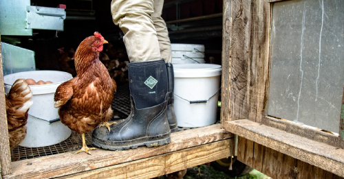 Logo for Muck Boot Co. 