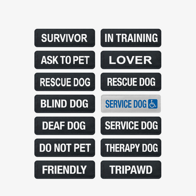EzyDog Side Badges - $10.00 at EzyDog