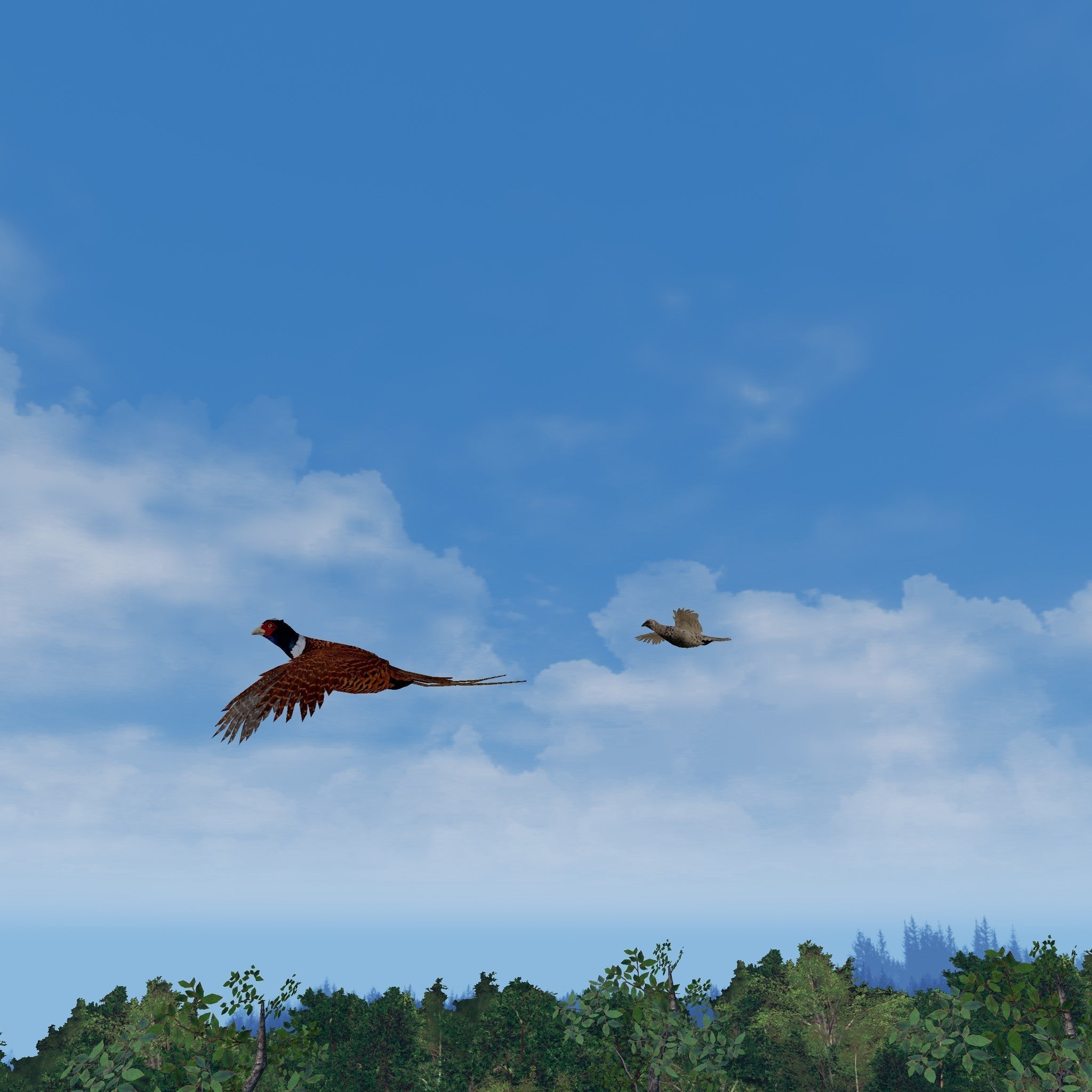 GAIM High Pheasants - $49.00 at GAIM 
