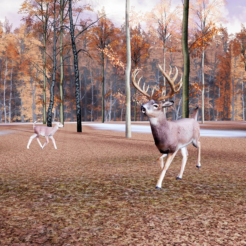 GAIM White Tail Deer Trail - $49.00 at GAIM 