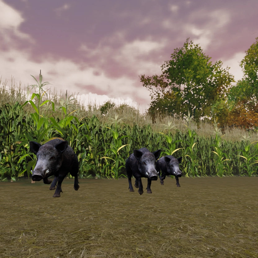 GAIM Wild Boar Corn Field - $59.00 at GAIM 