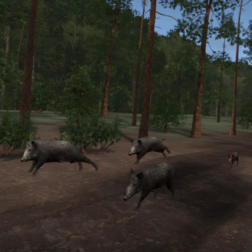 GAIM Wild Boar Hunting Lane - $49.00 at GAIM 
