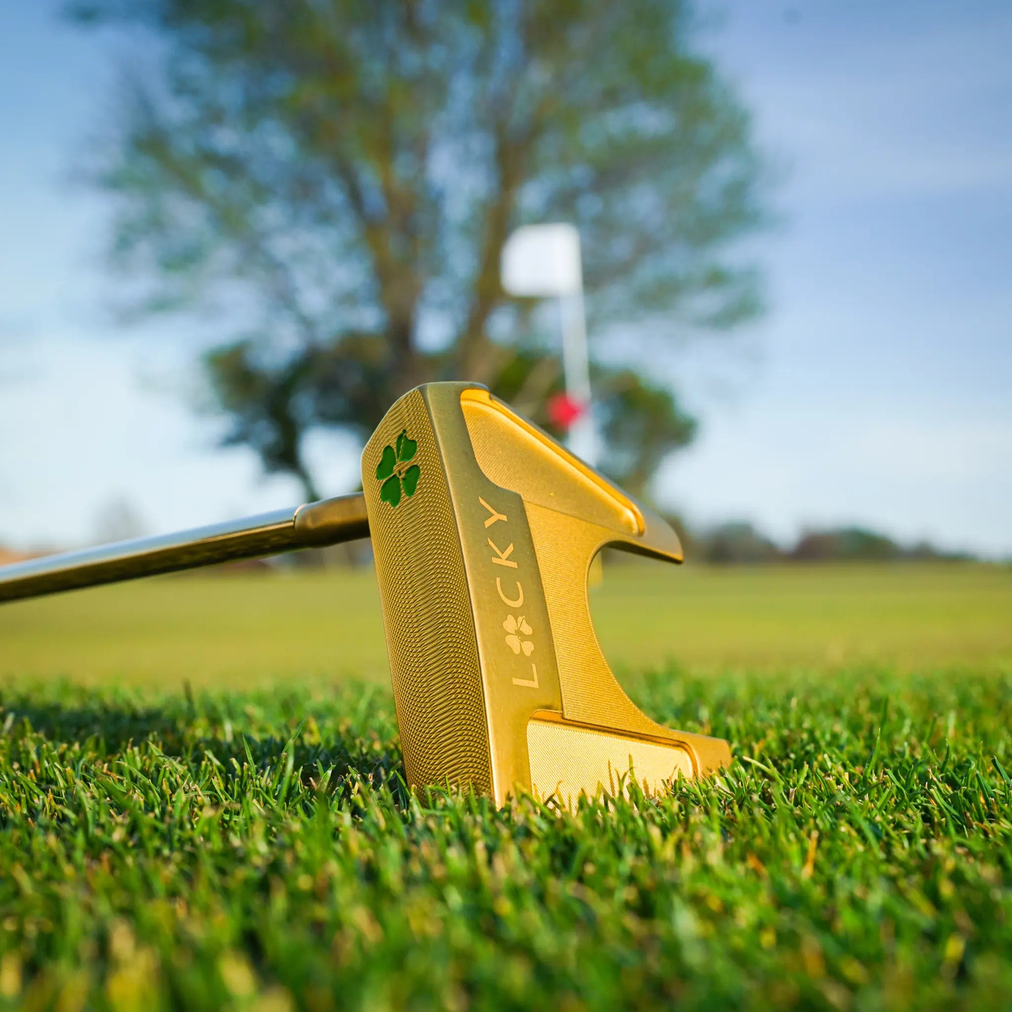 Lucky Golf Limited Edition Mallet Putters - $229.00 at Lucky Golf