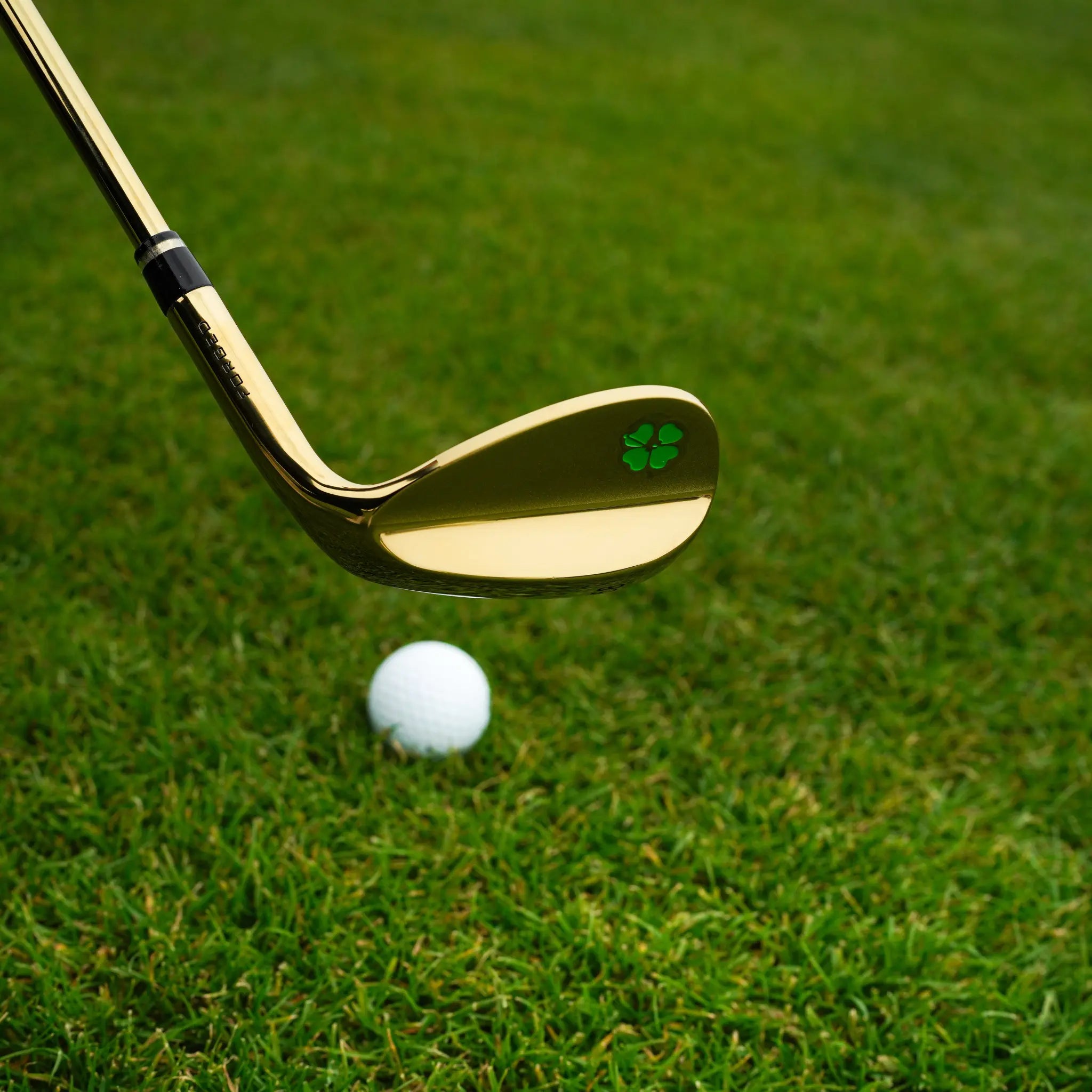 Lucky Golf Carver 02 - $99.00 at Lucky Golf