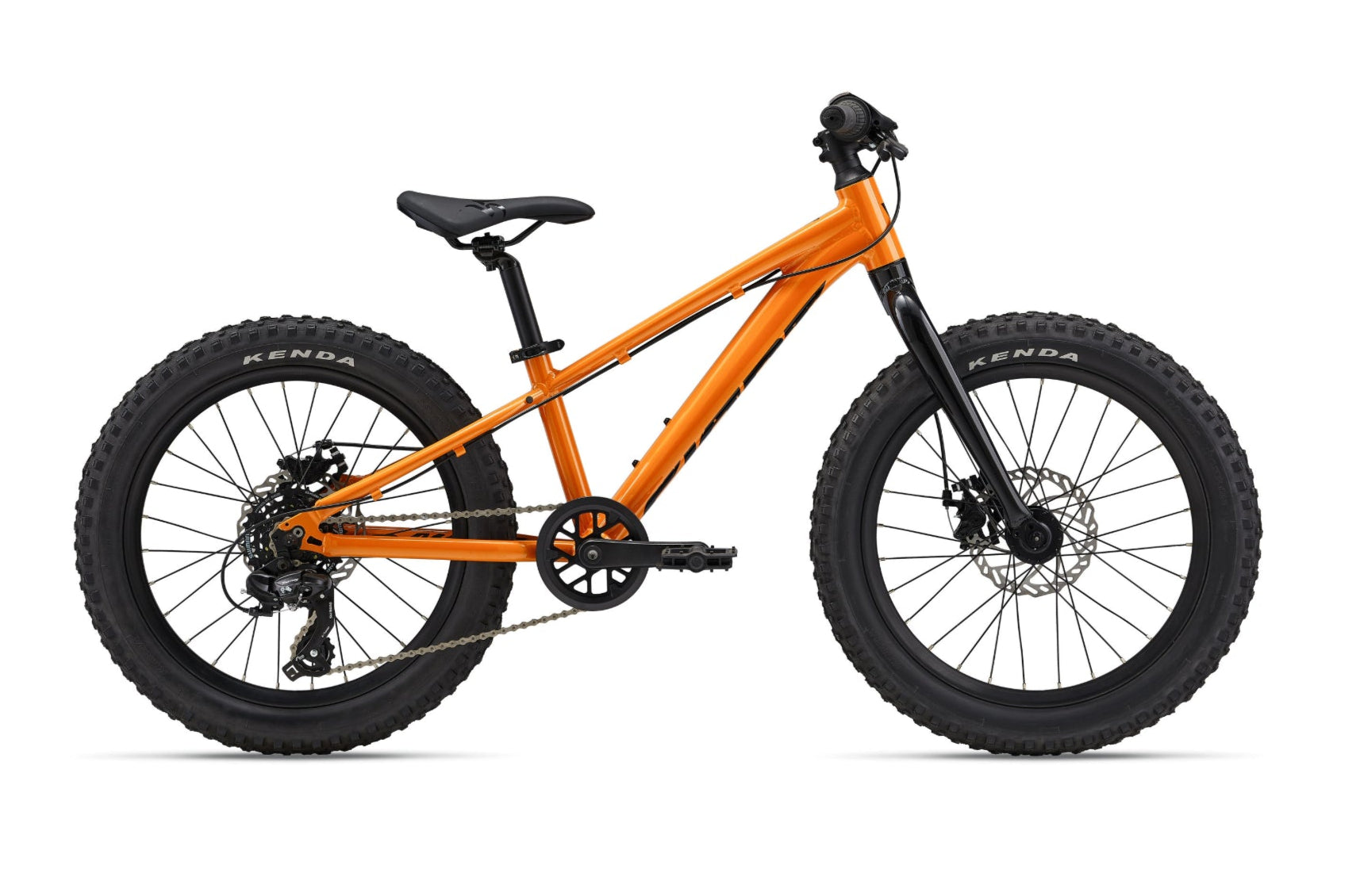 Giant STP 20 - $579.99 at Mike's Bikes