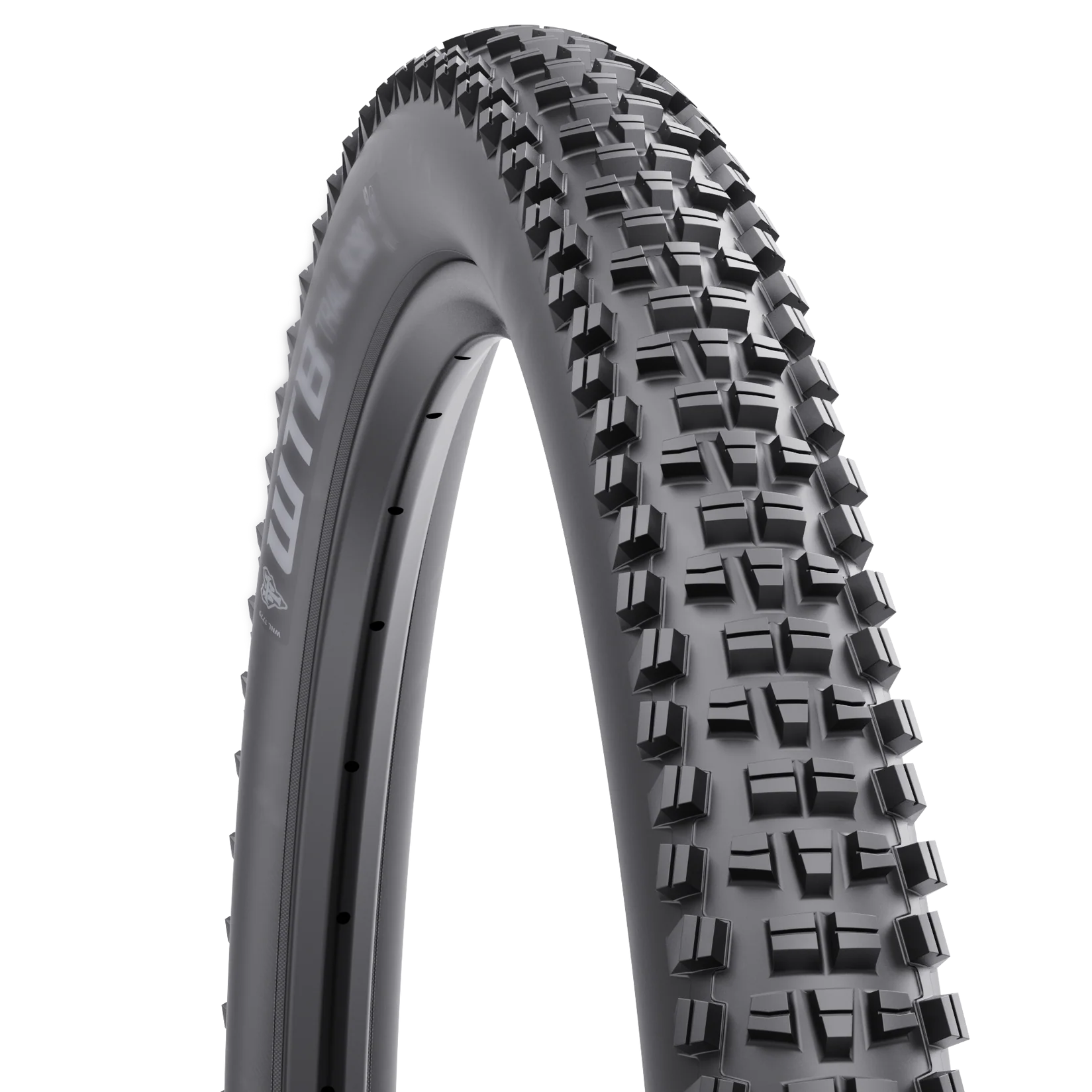 WTB Trail Boss Comp Tire (2.25) - $32.99 at Mike's Bikes