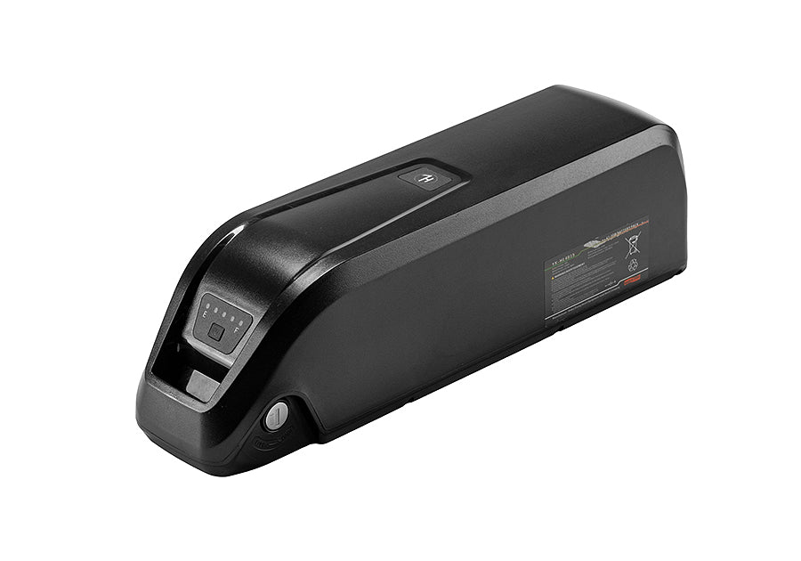 Battery 48V/15Ah - Schnauzer