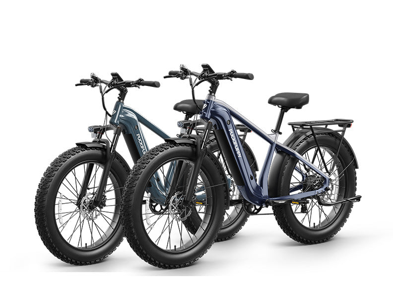 Beagle 2 Ebike*2
