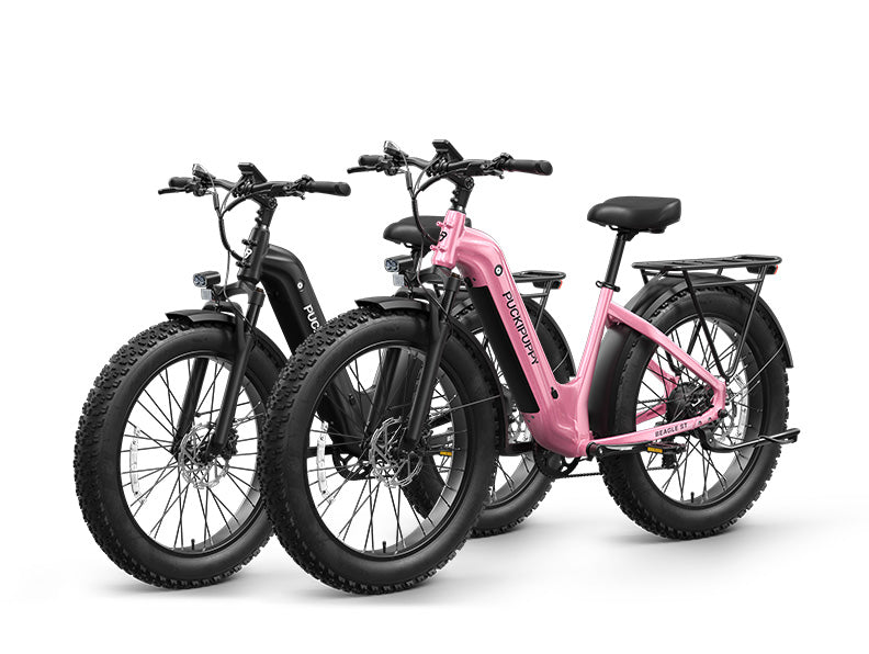 Beagle 2 ST Ebike*2