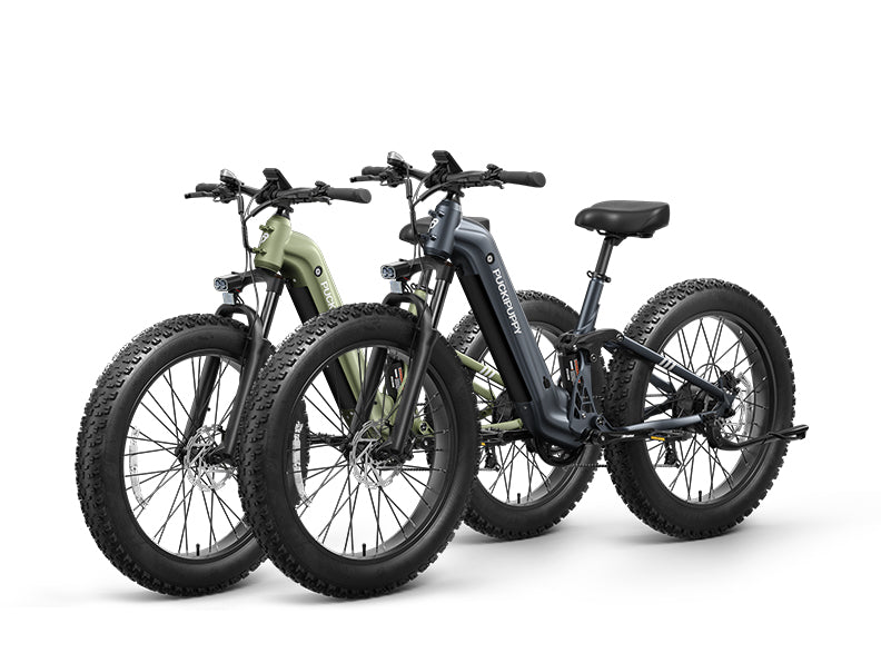 Boxer ST Ebike*2