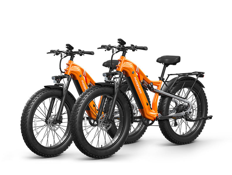Labrador Pro Ebike*2