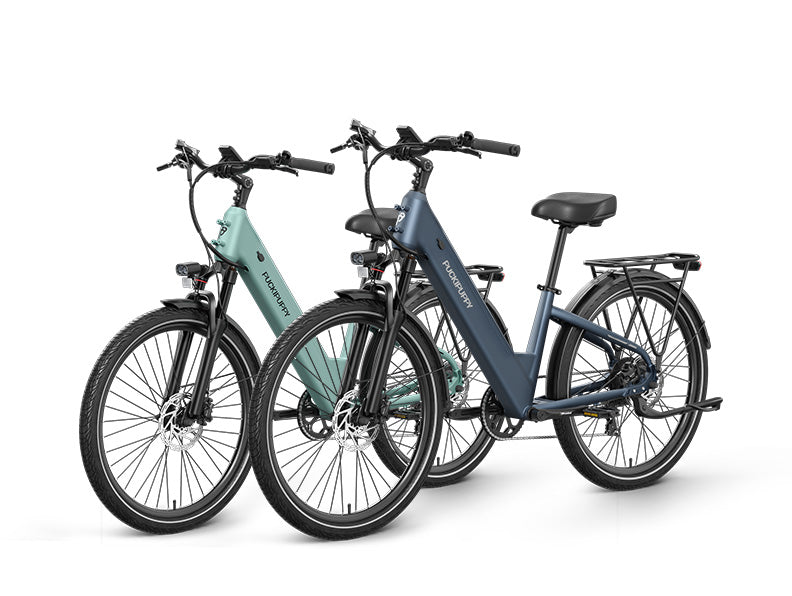Poodle Ebike*2