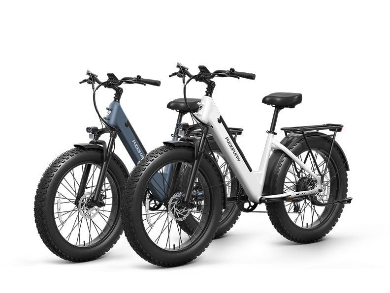 Samoyed Ebike*2