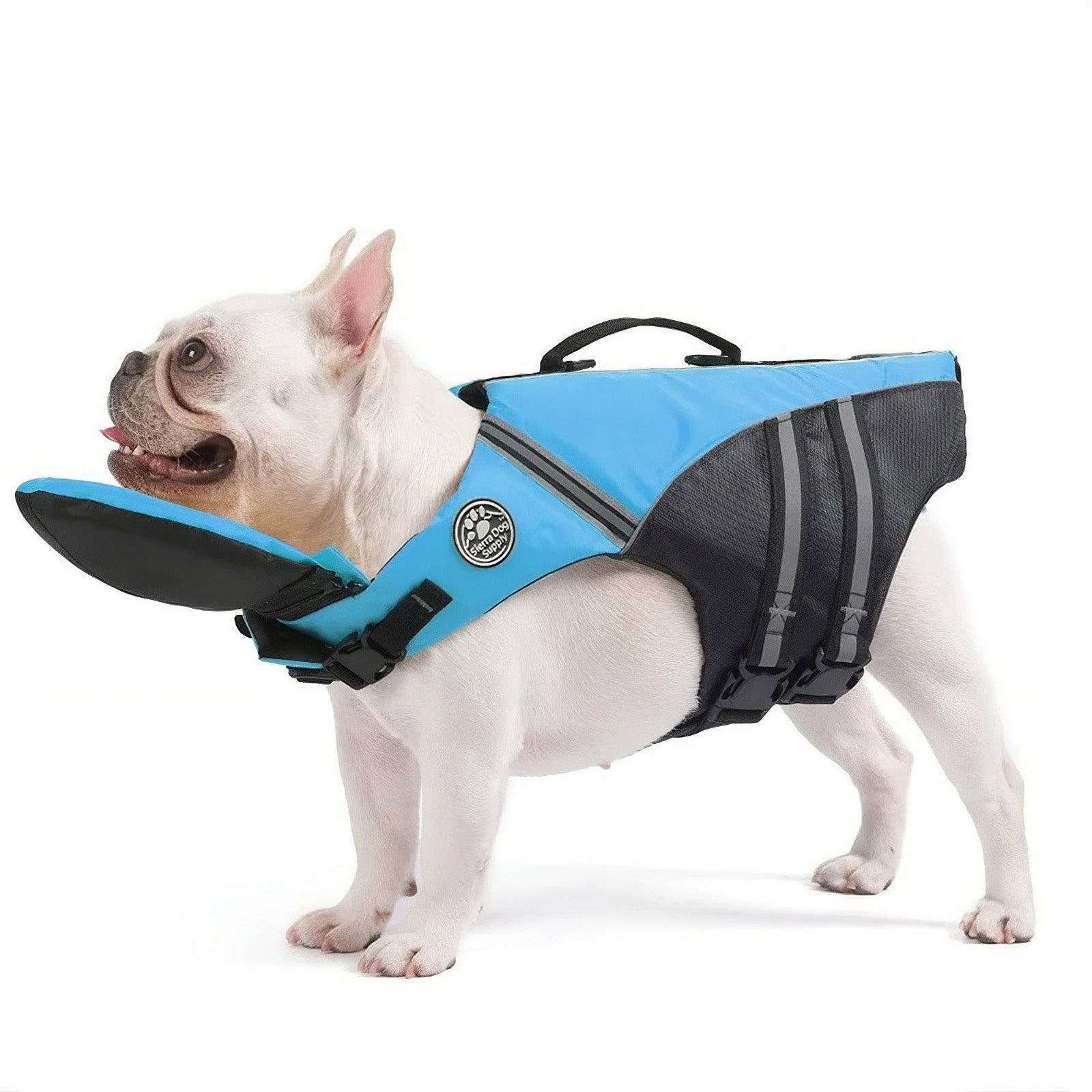 Sundaze Rays Dog Life Jacket - $34.99 at Sundaze