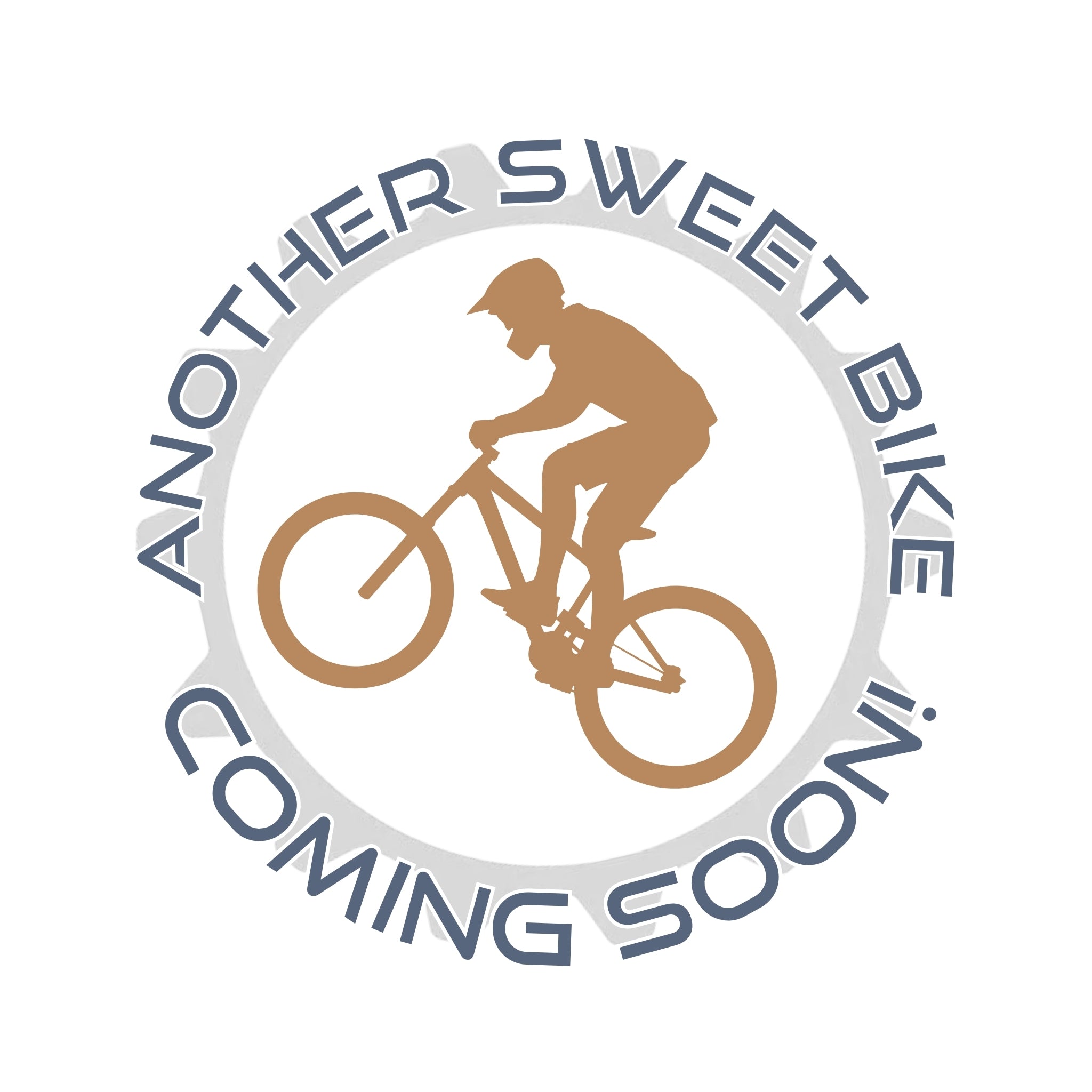 Forbidden Druid 2 29" - X-Large (4) - $7099.00 at Thunder Mountain Bikes