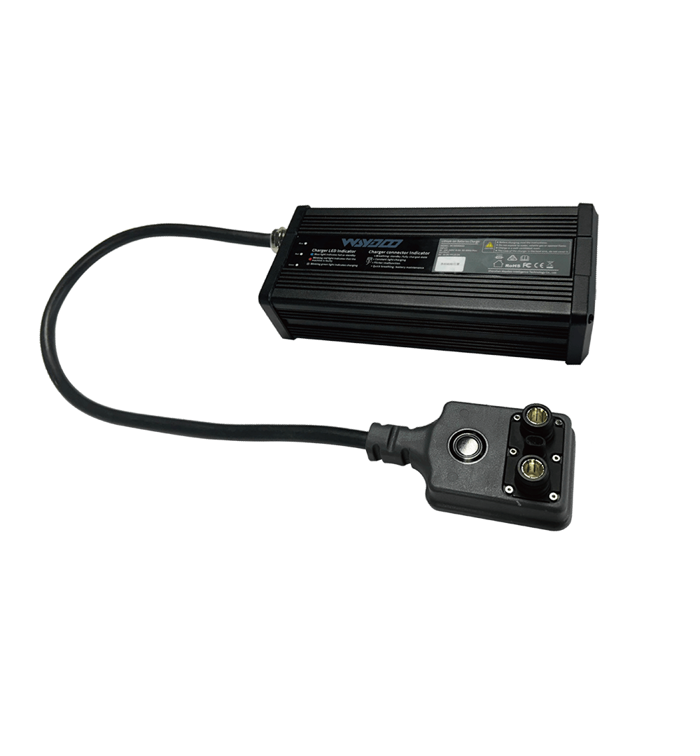 waydoous EVO Powerflight Charger - $480.00 at Waydoo