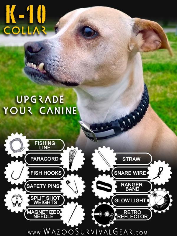Retired K-10 Dog Collar™ - $59.00 at Wazoo Gear