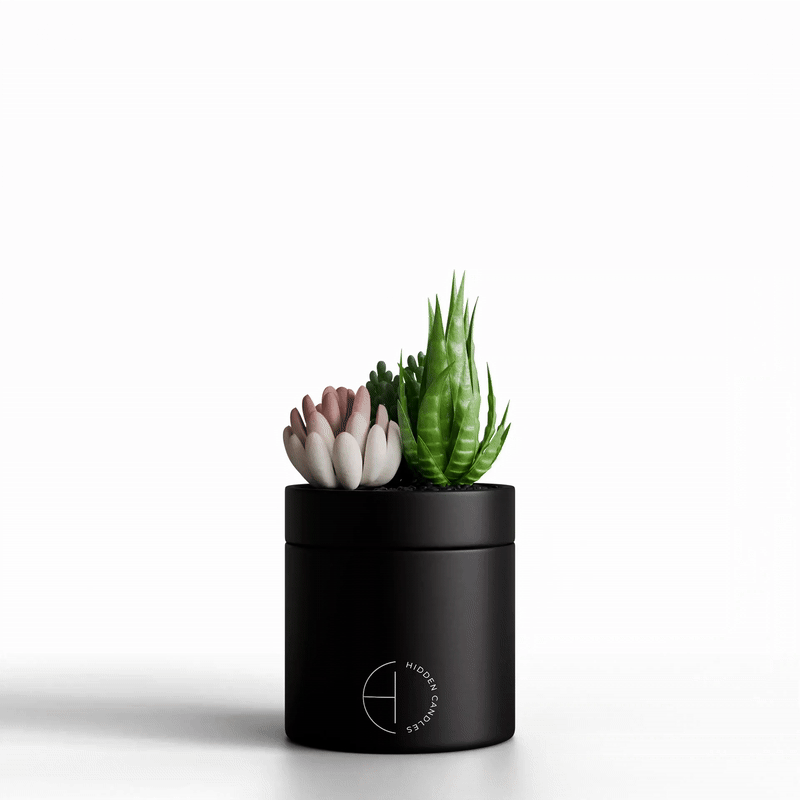 Hidden Candles The Hidden Candle - Decorative Hideaway Candle - $59.00 at West Path 