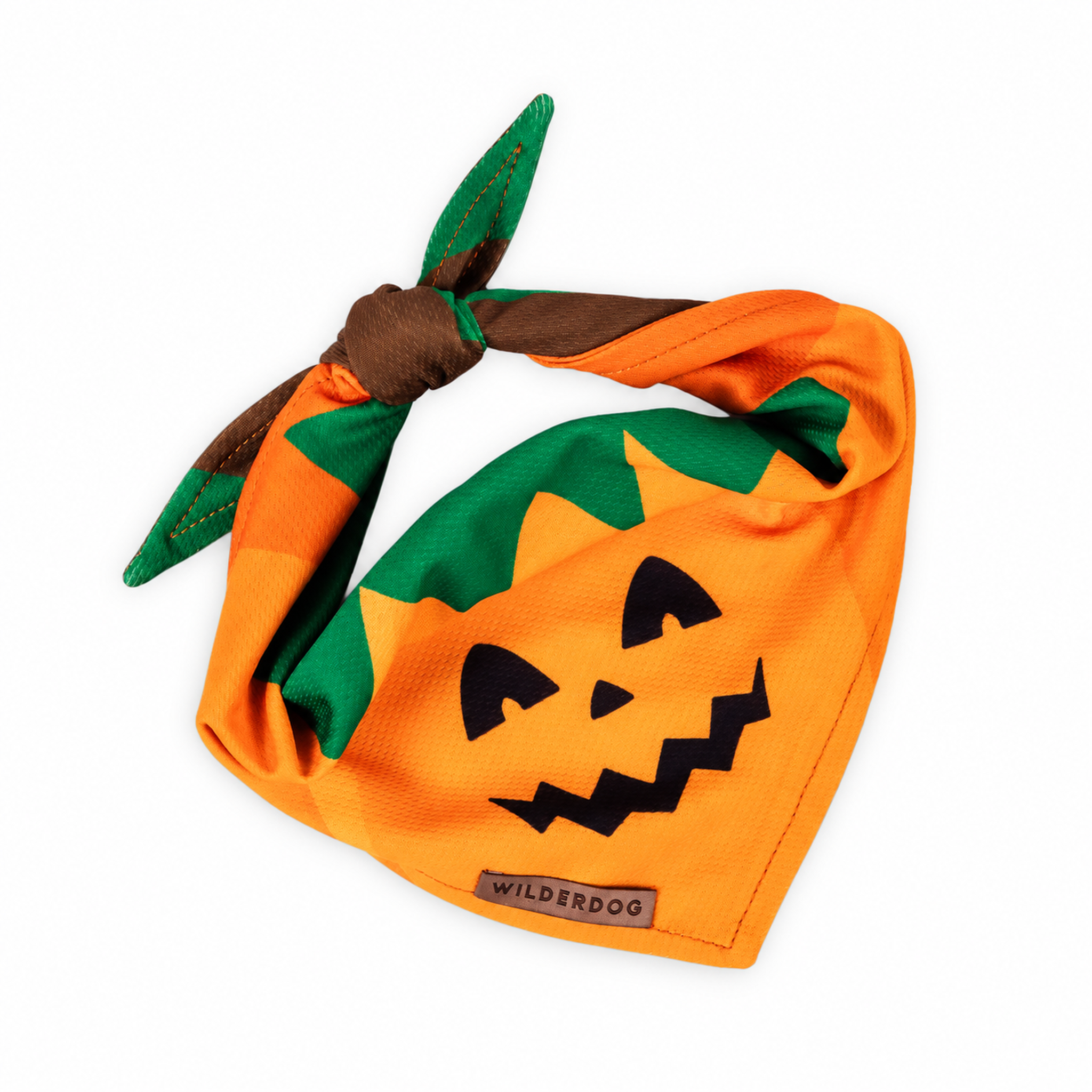 Pumpkin Bandana
